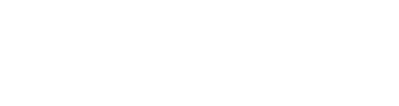 fleet management D cut Logo